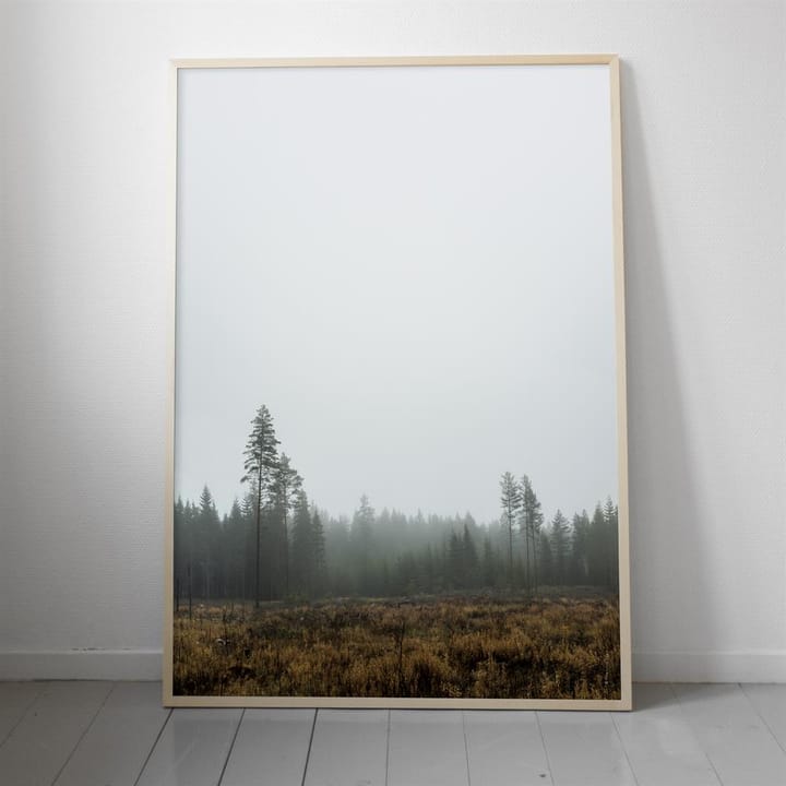 Skog plakat - 70 x 100 cm - Fine Little Day