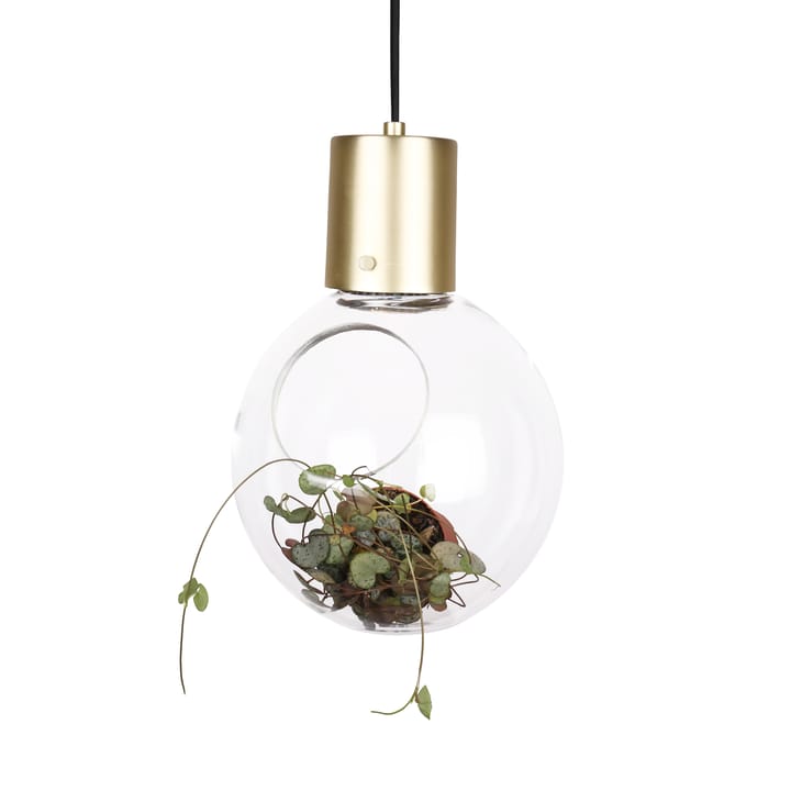 Mini Hole loftlampe - klar-messing - Globen Lighting