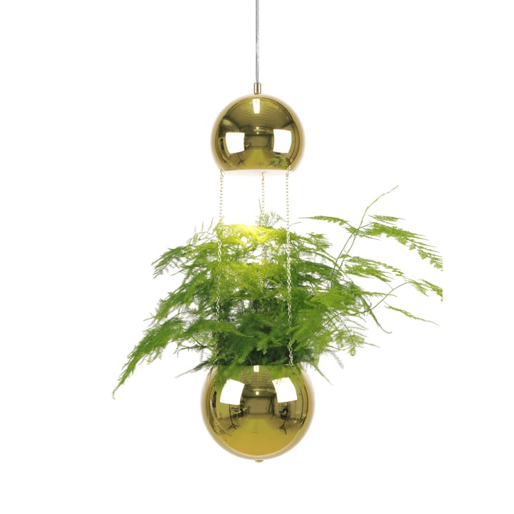 Planter loftlampe og ampel - messing - Globen Lighting