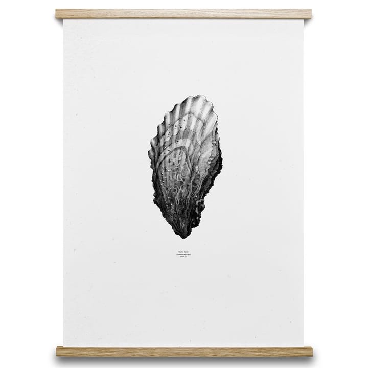 1:1 Oyster plakat - 50 x 70 cm - Paper Collective