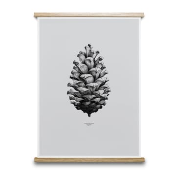 1:1 Pine Cone plakat - grå, 50 x 70 cm - Paper Collective